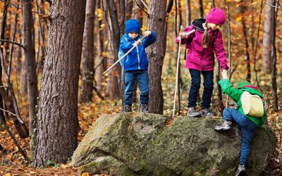 Bauhaus de la montaña formación para primera infancia en el bosque.