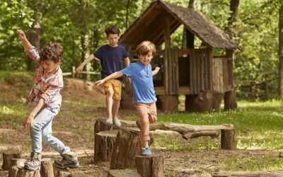 Objetivos Generales de Preescolar en nuestra Escuela bosque