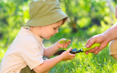Descubre la Excelencia en Educación Alternativa en Bauhaus de la Montaña: Tu Mejor Elección en Jardín Infantil